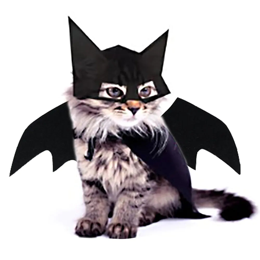 Halloween Pet Costume - Bat Wings and Corset