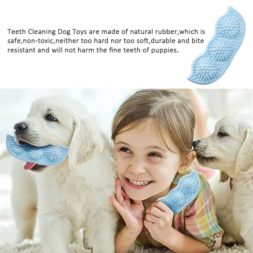 Bite-Resistant Dog Toy Ball for Interactive Chewing