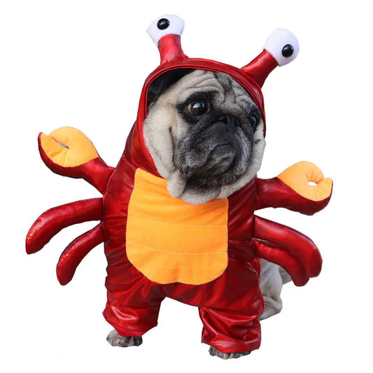 Cat and Dog Costume for Halloween