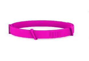 Anti-Flea Collar for Cats and Dogs