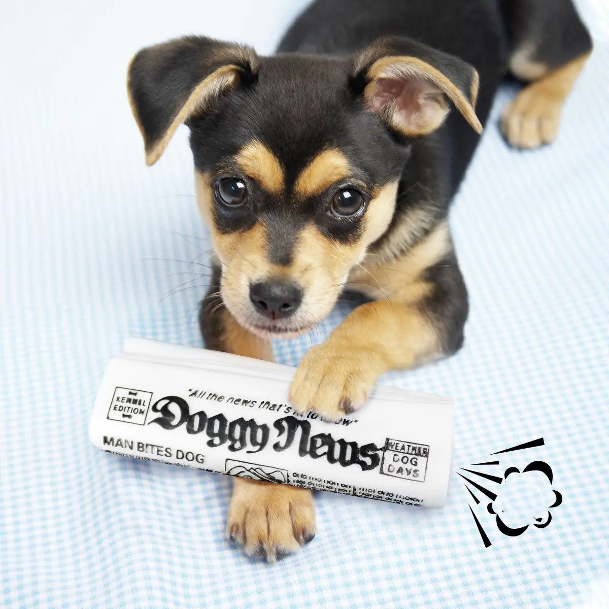 Squeaky Dog Toy - Newspaper Chew Training Toy