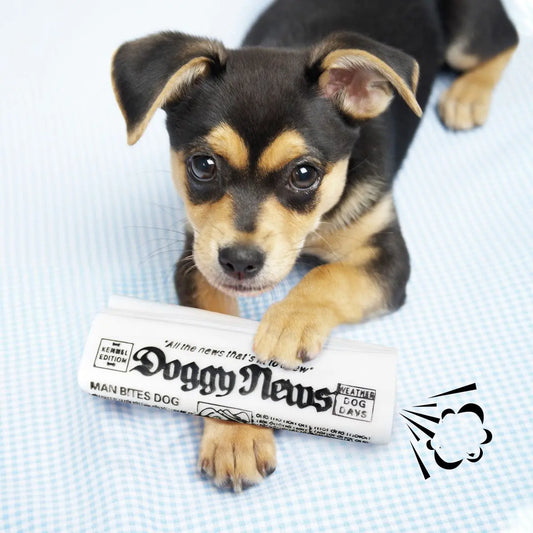 Squeaky Dog Toy - Newspaper Chew Training Toy